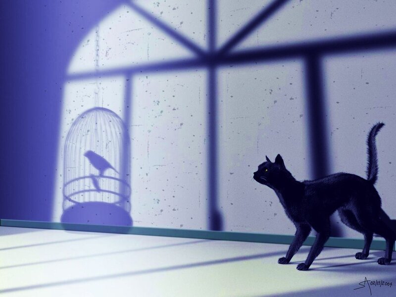 Black cat and birdcage shadow