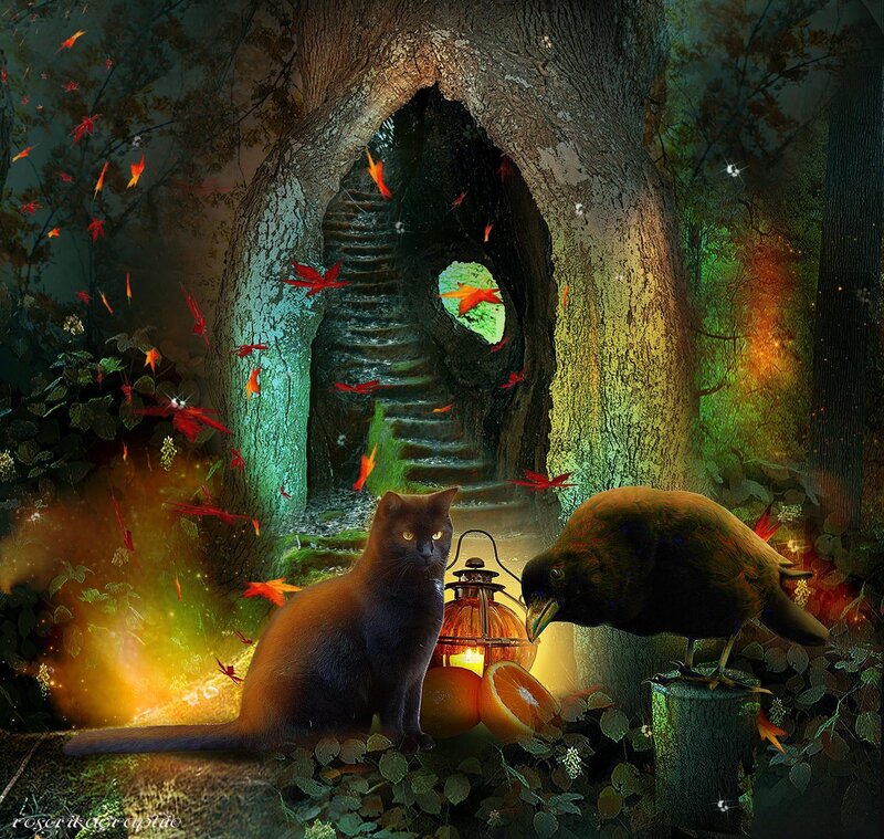Black Cat and Crow — Green