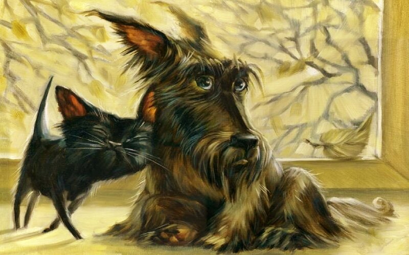 Black Cat and Dog