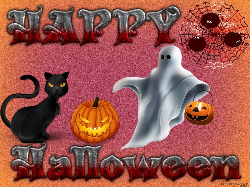 Black Cat and Ghost