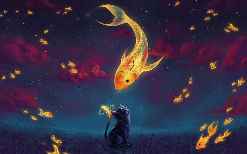 Black Cat and Glowing Fish