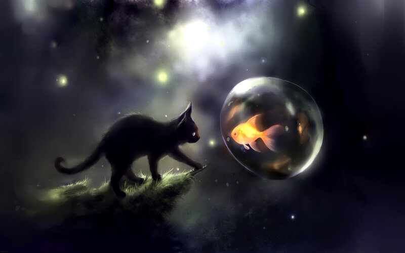 Black Cat and Goldfish — Dreamy, Night