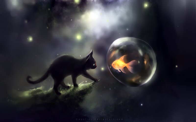 Black Cat and Goldfish — Mysterious, Night