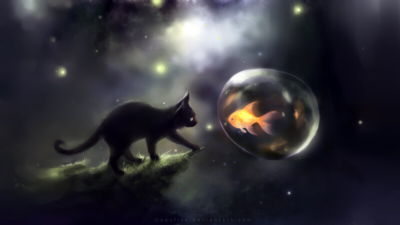 Black Cat and Goldfish — Mysterious