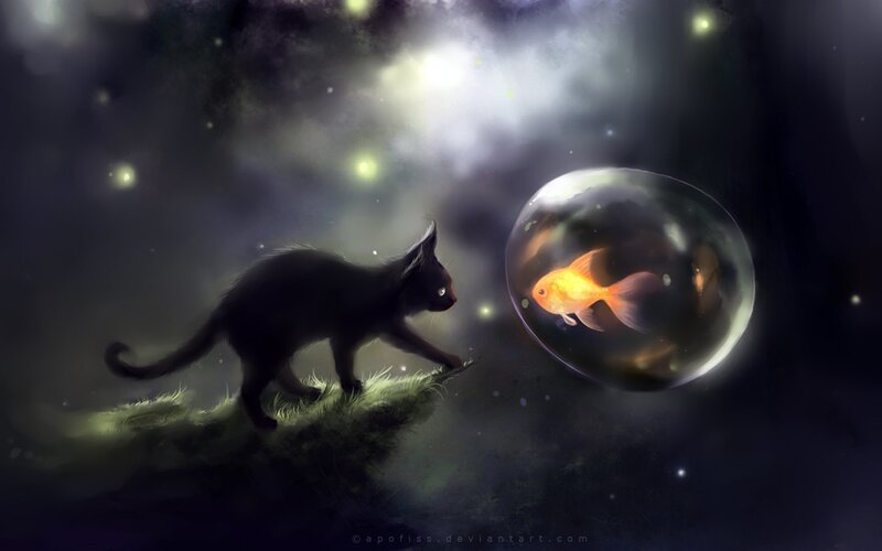Black Cat and Goldfish