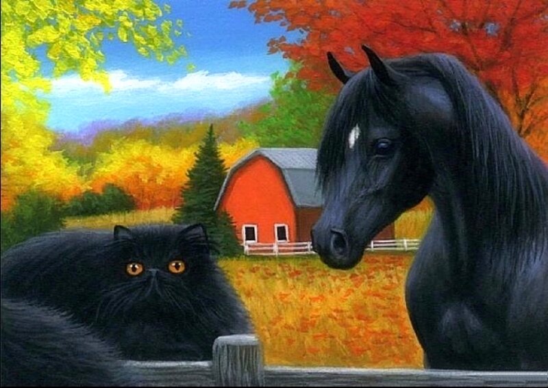 Black Cat and Horse