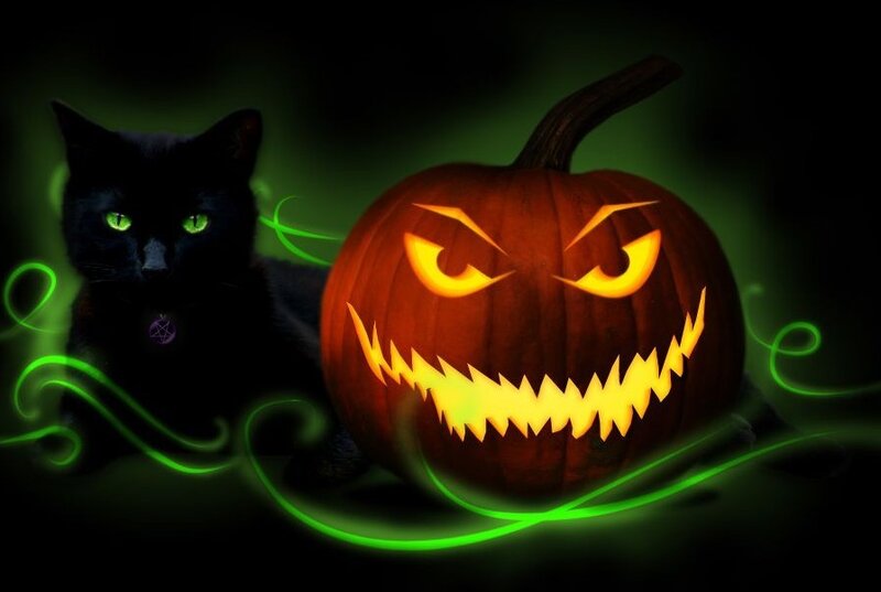 Black Cat and Jack-o-lantern — Spooky