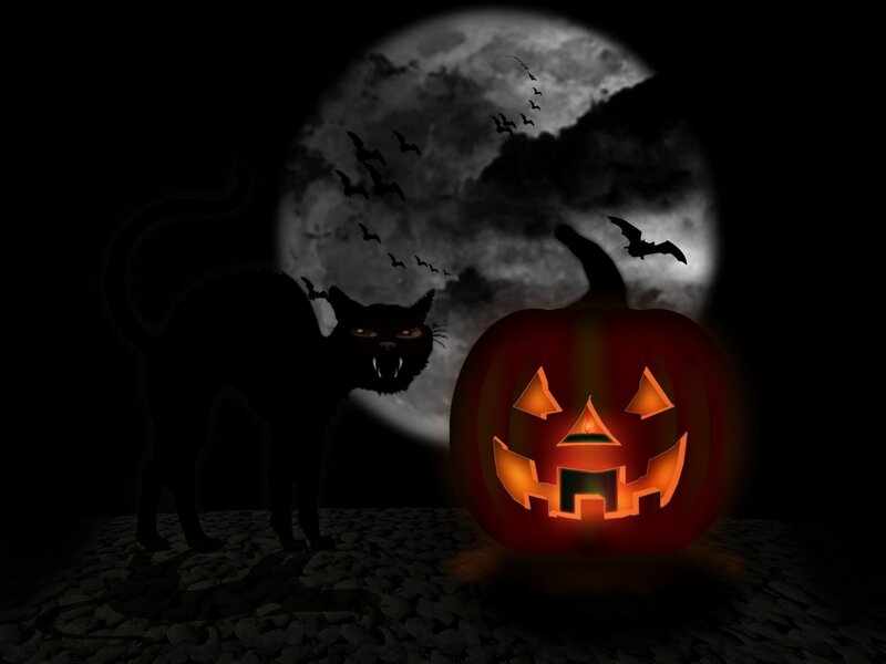 Black Cat and Jack-o-lantern