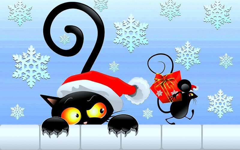Black Cat and Mouse — Blue