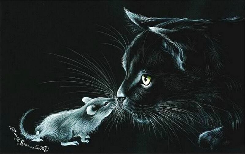 Black Cat and Mouse — Dramatic
