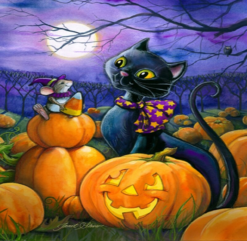 Black Cat and Mouse — Purple