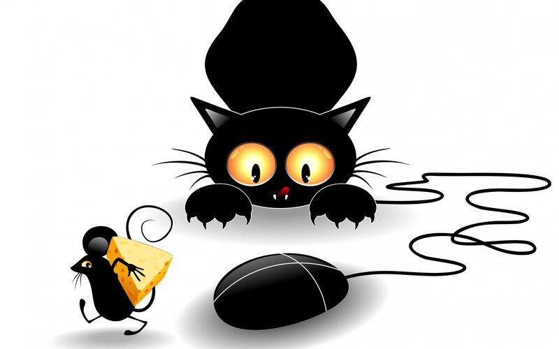 Black Cat and Mouse