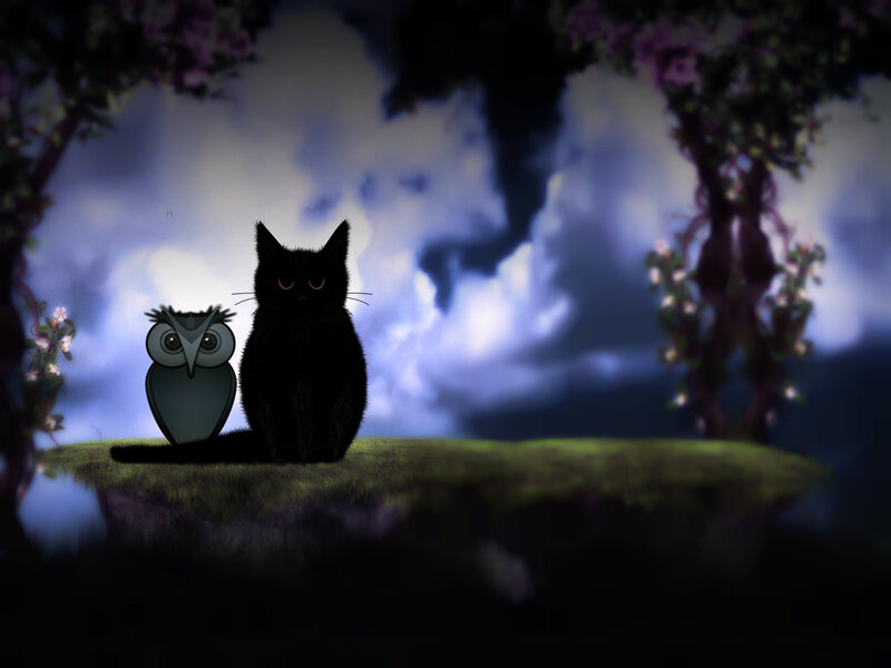 Black Cat and Owl