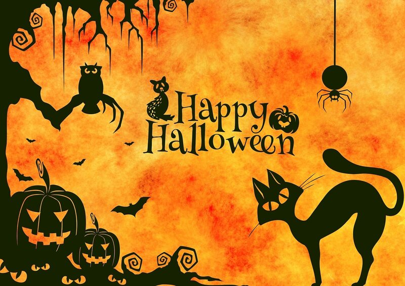 Black Cat and Pumpkins — Orange