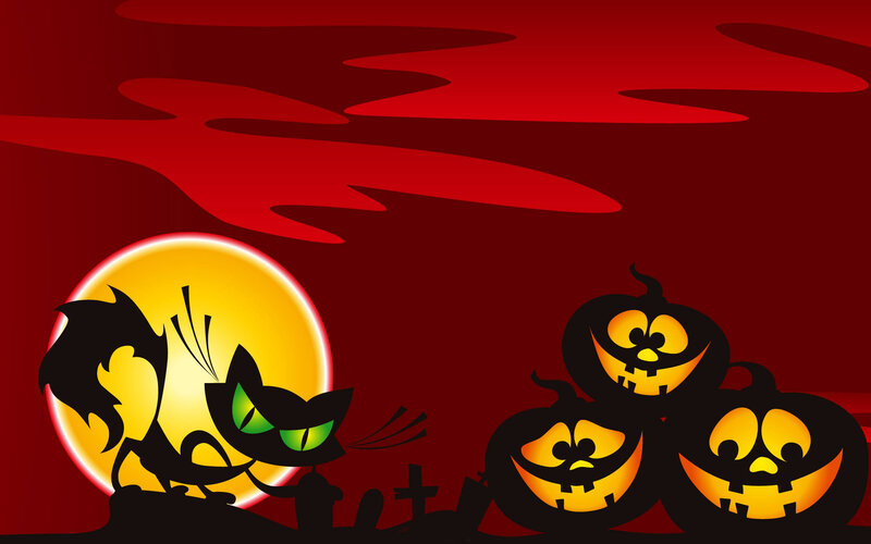 Black Cat and Pumpkins