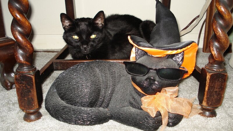 Black Cat and Statue