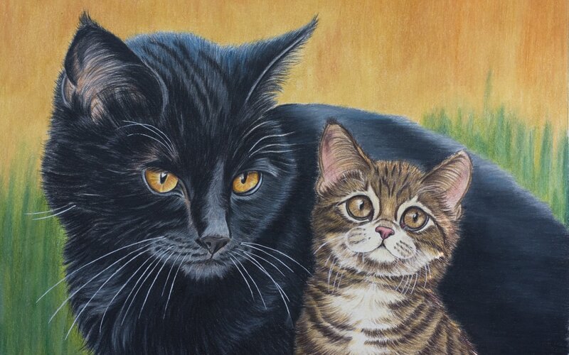 Black Cat and Tabby Kitten