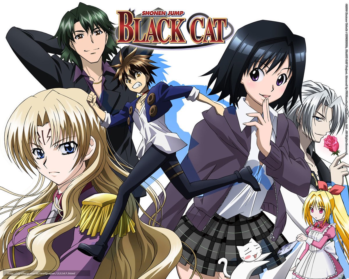 Black Cat anime cast