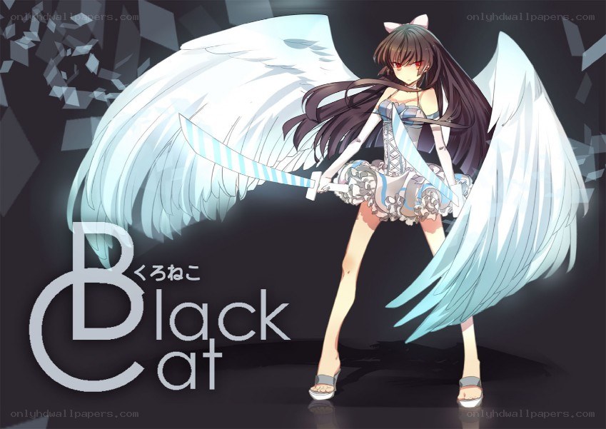 black cat anime character
