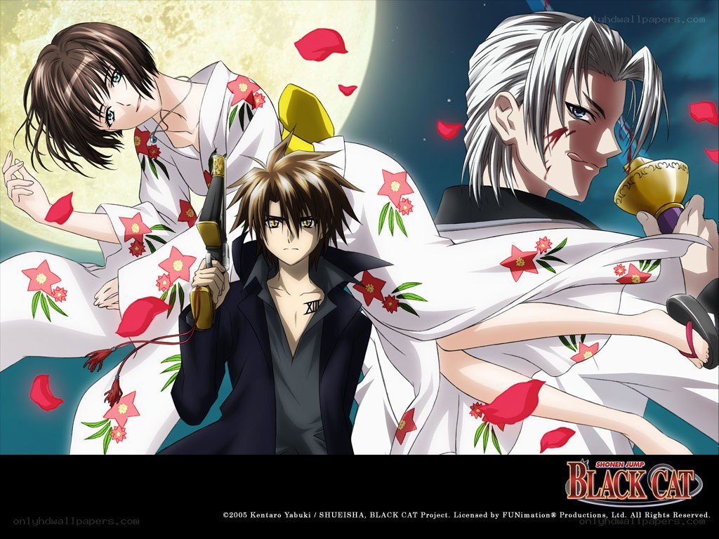 Black Cat anime characters