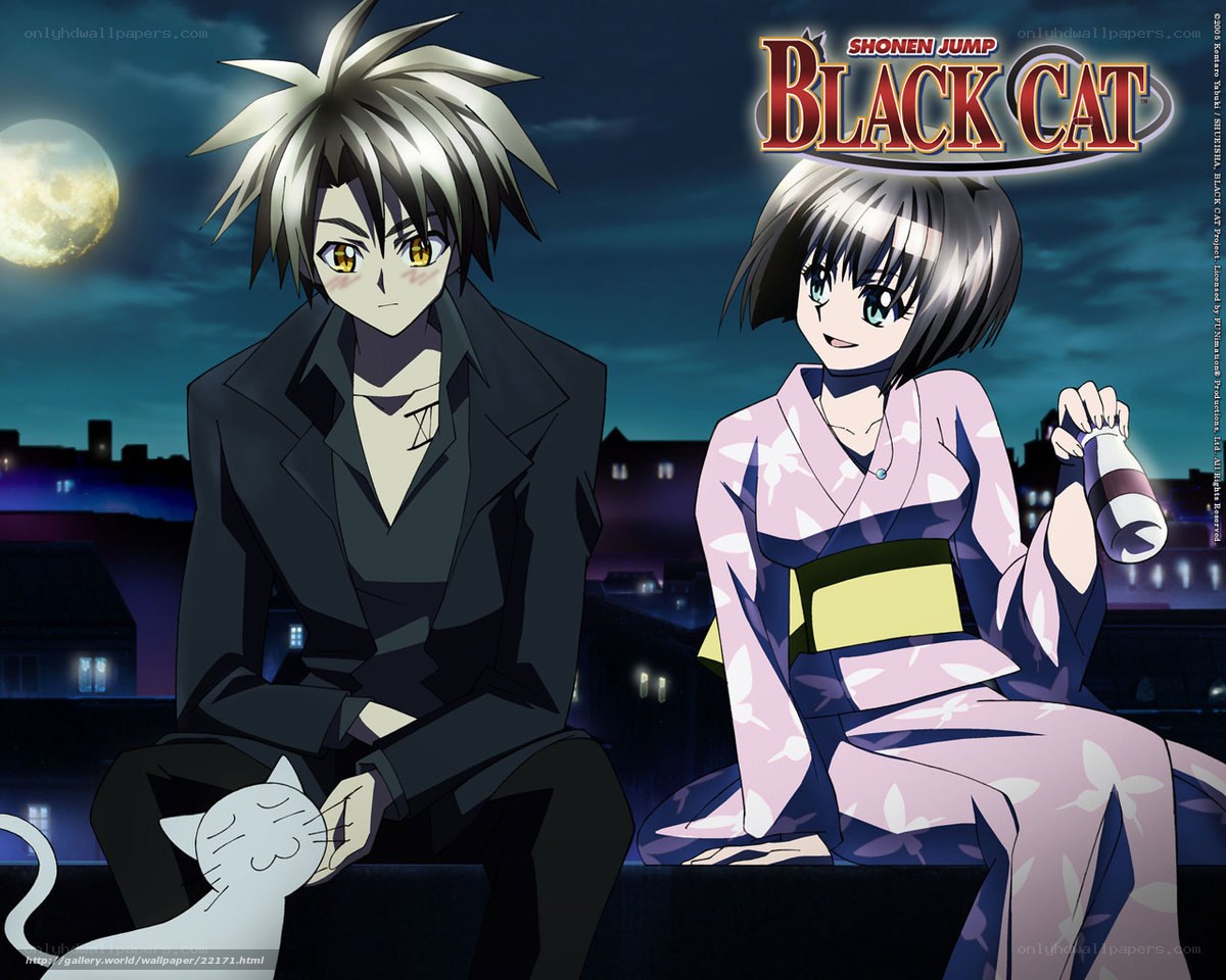 Black Cat anime characters at night