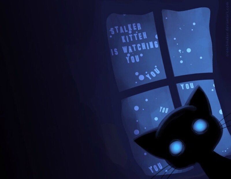 Black Cat at Window — Blue, Creepy, Night
