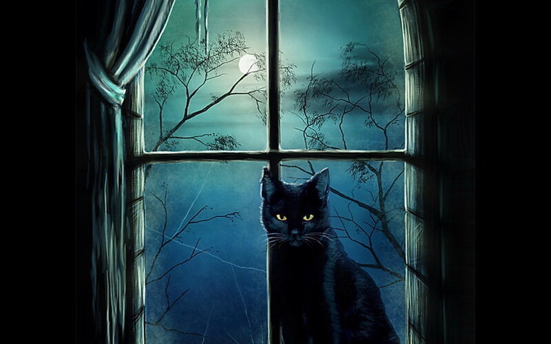 Black Cat at Window — Blue
