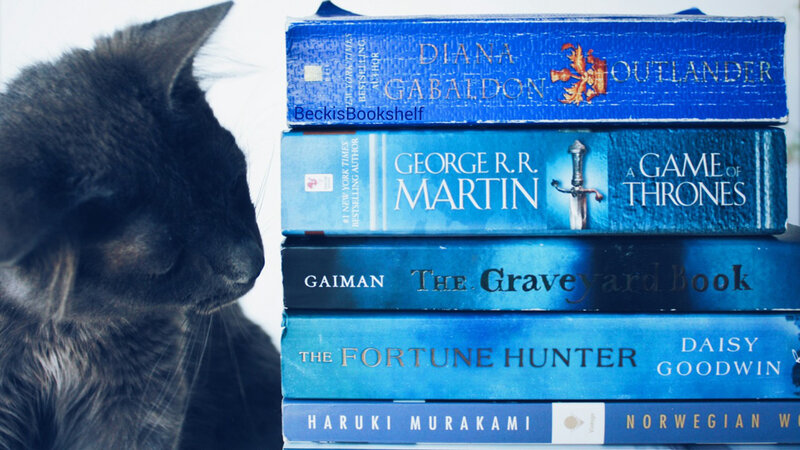 Black Cat Beside Books