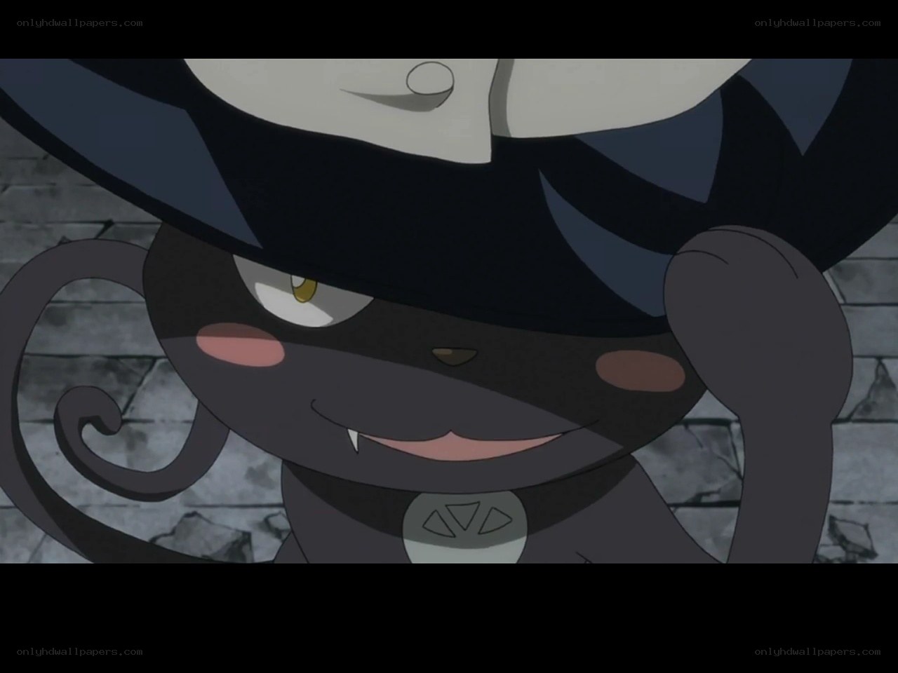 black cat character close-up