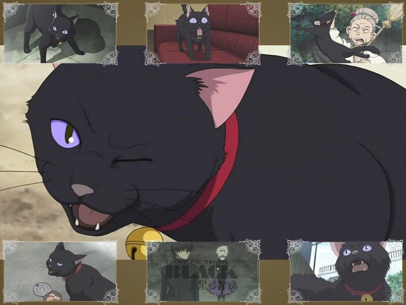 Black cat character collage