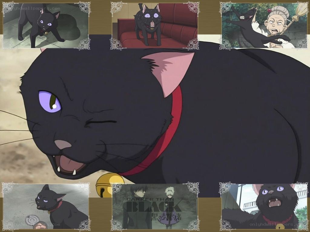 Black cat character collage