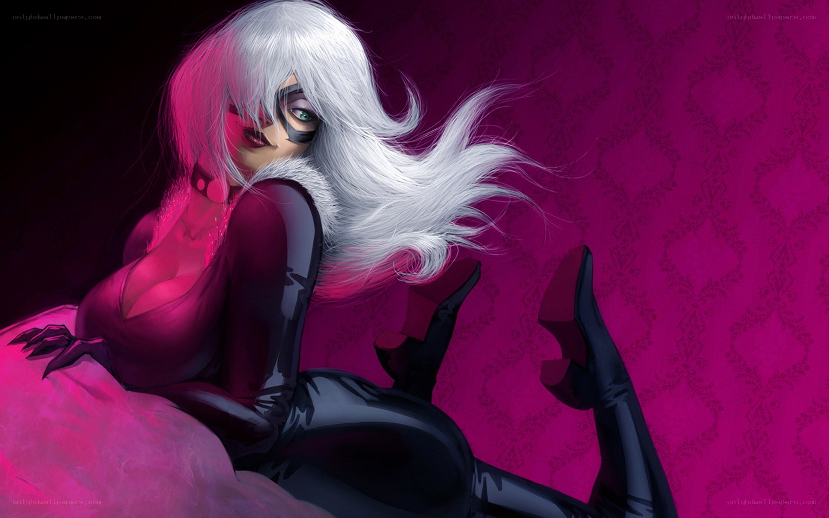 Black Cat character illustration