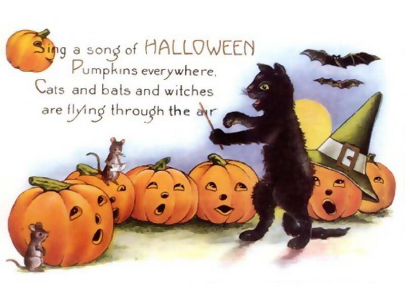 Black Cat Conducting Pumpkins