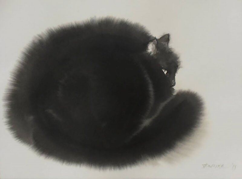 Black Cat Curled Up — Calm