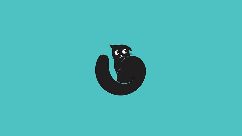 Black Cat Curled Up — Teal