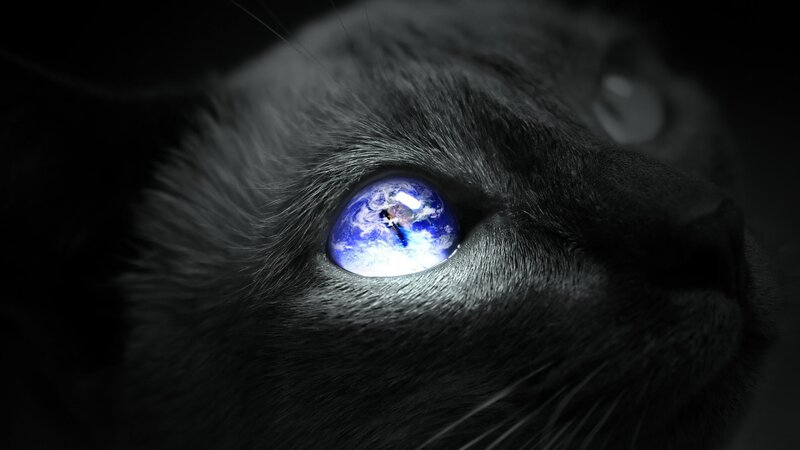Black Cat Eye — Dramatic, Digital Art