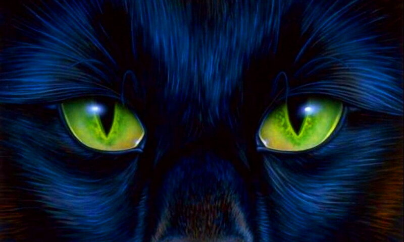 Black Cat Eyes — Blue