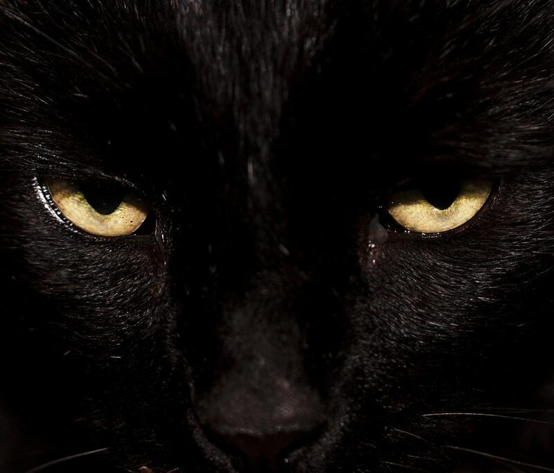 Black Cat Eyes — Intense