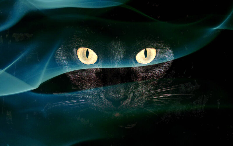Black Cat Eyes — Mysterious