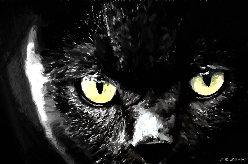 Black Cat Face — Dramatic, Night, Digital Art, Eyes