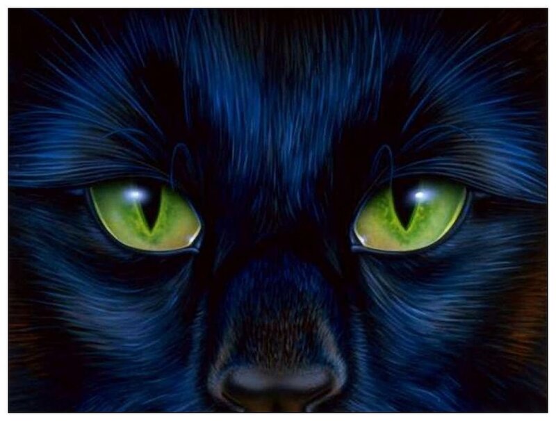 Black Cat Face — Dramatic, Night, Digital Art