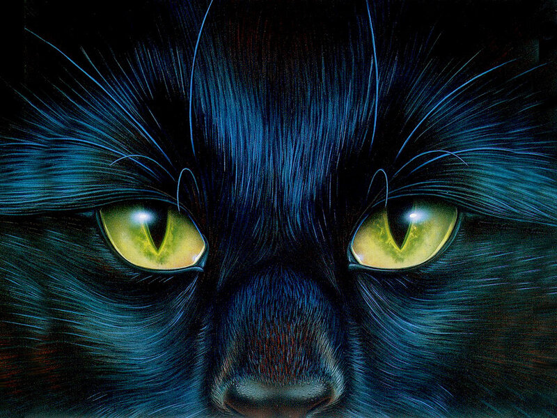Black Cat Face