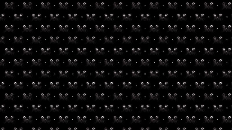 Black Cat Faces