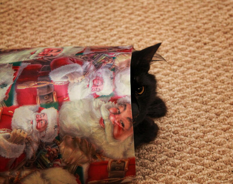 Black Cat Hiding in Gift Wrap