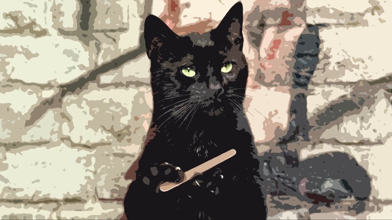 Black Cat Holding Spoon