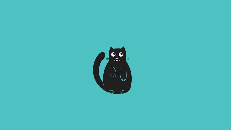 Black Cat Illustration