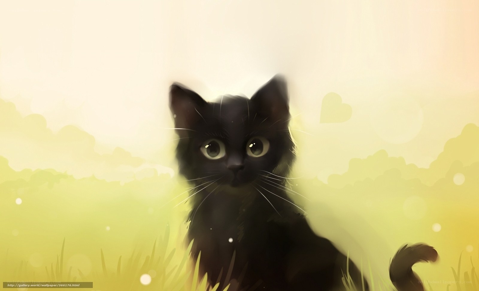 Black cat in a field