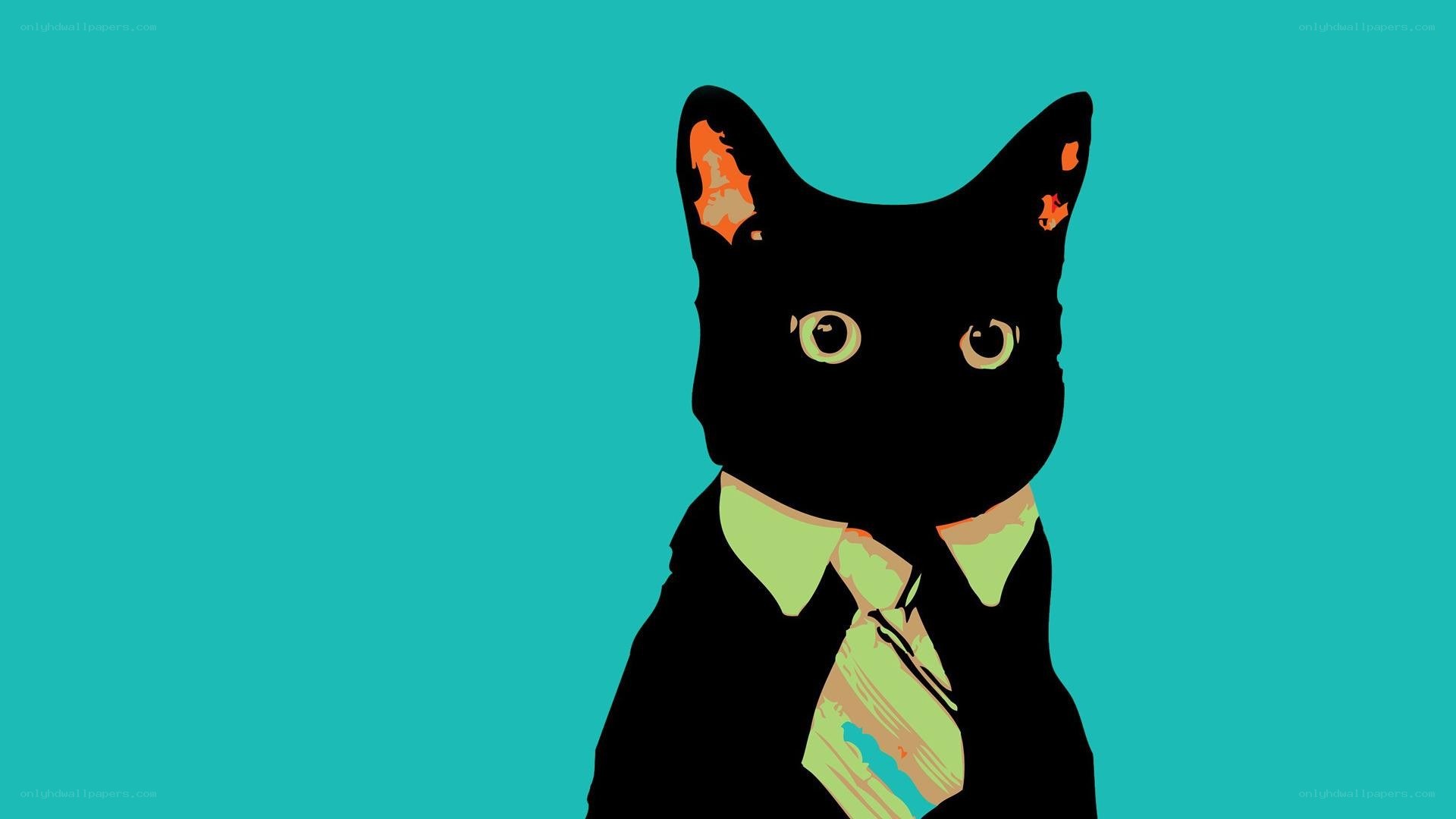 black cat in a tie