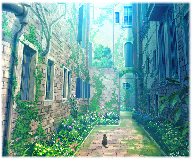 Black Cat in Alley