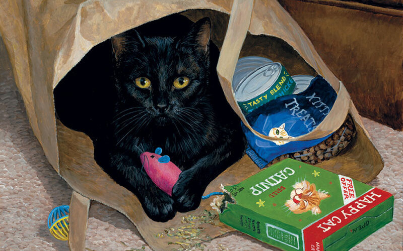 Black Cat in Bag — Calm